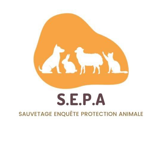 S.E.P.A