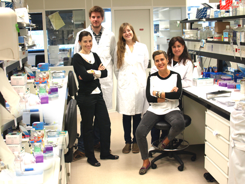 APU Proyecto Fuerza Julen