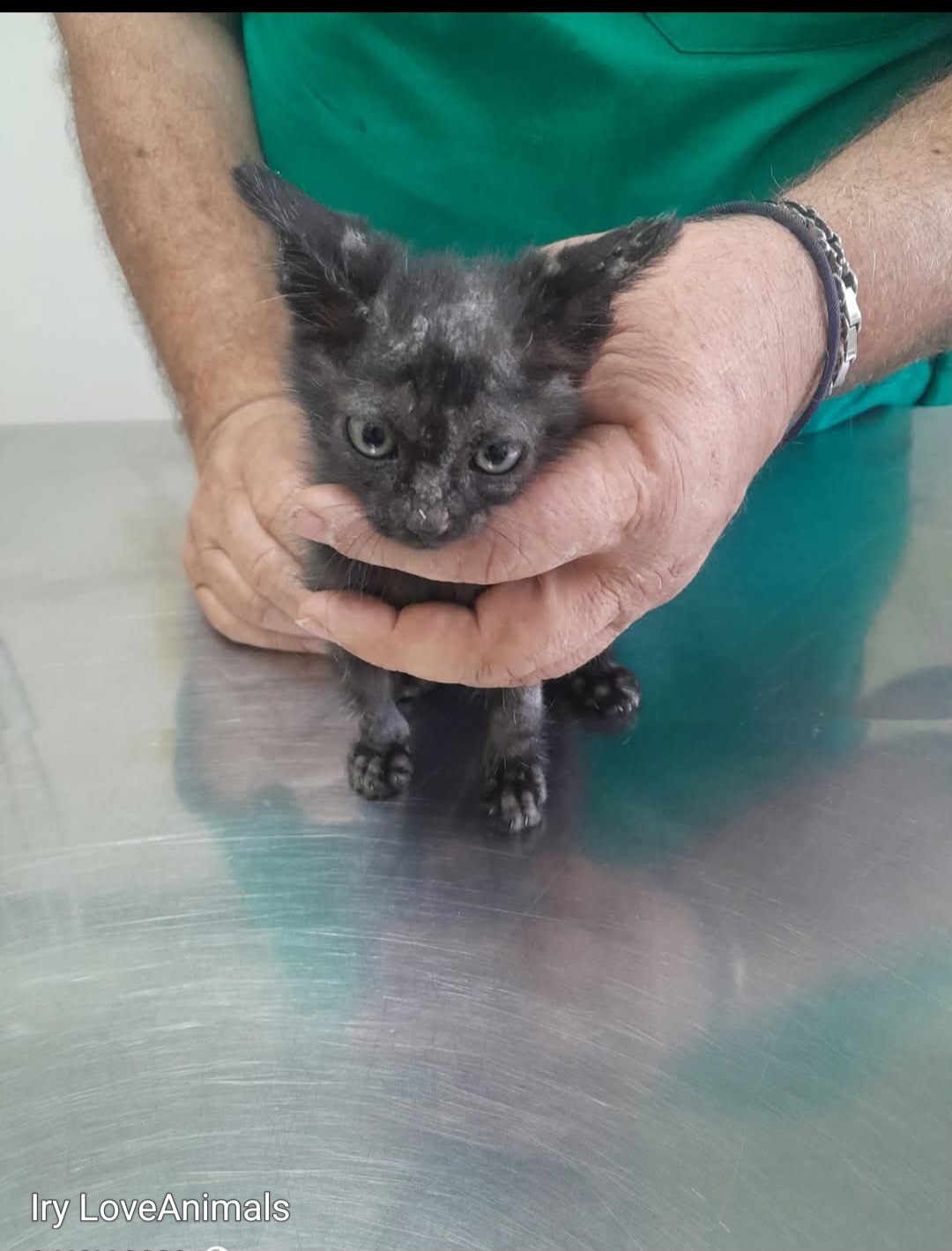 I bimbi pelosi di Irina