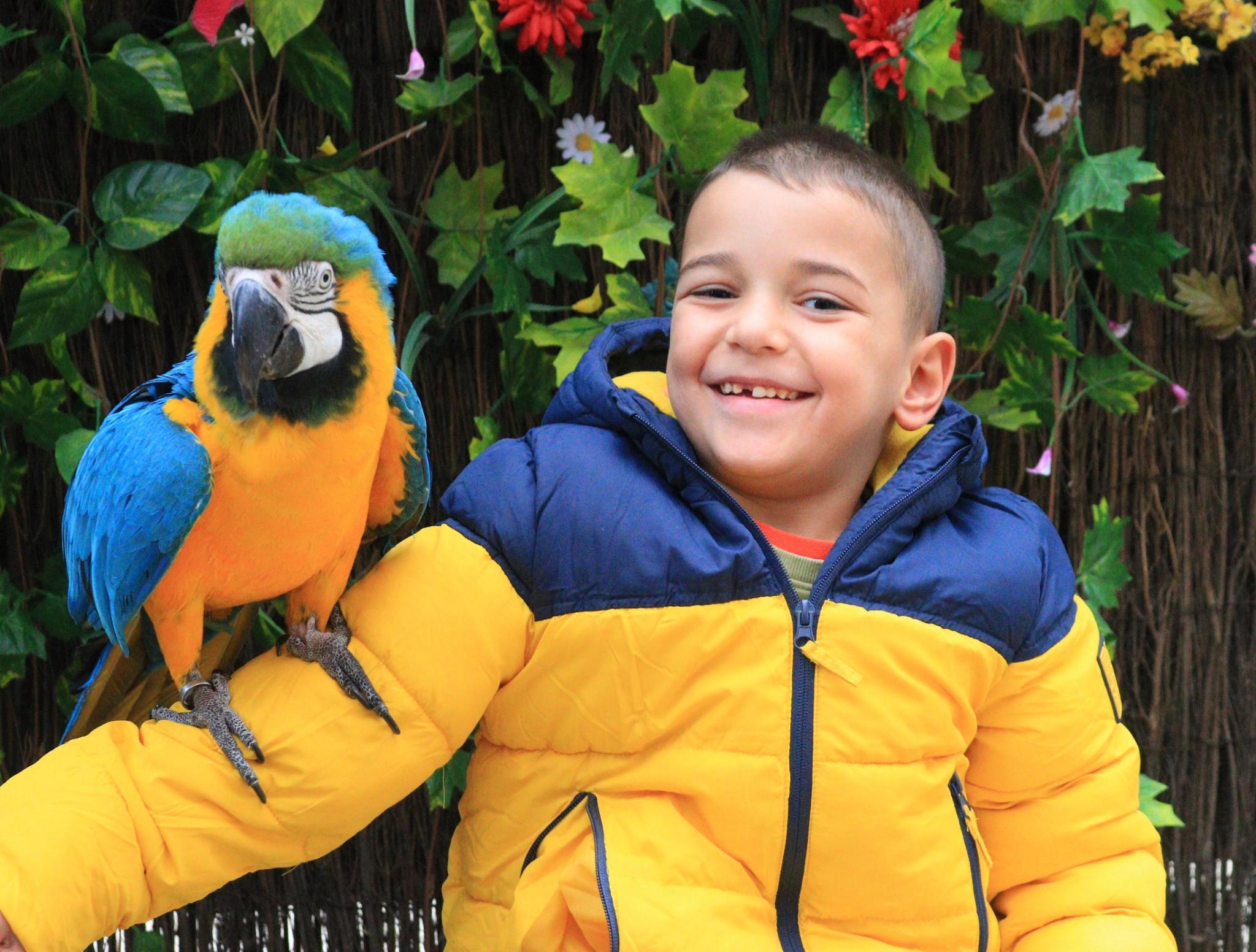 Luchando por la vida Enzo