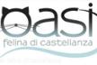 CUORI E ZAMPE ODV OASI FELINA DI CASTELLANZA