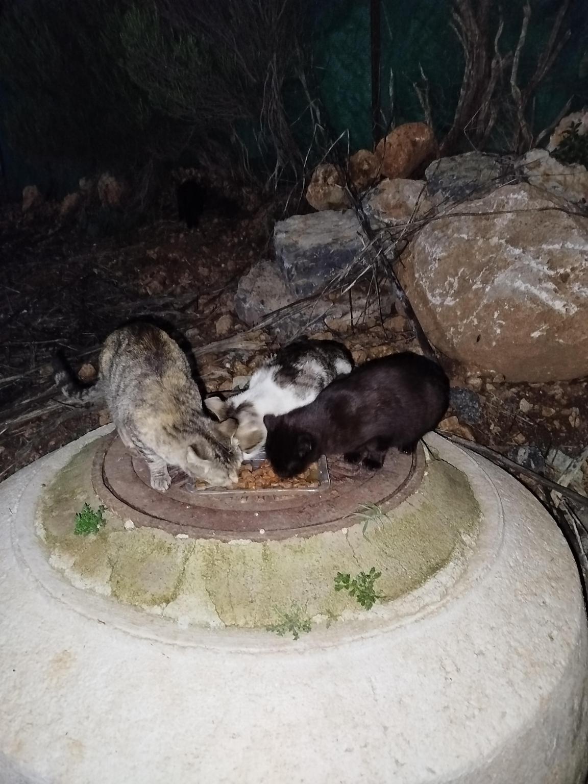 El Refugio Algodonales
