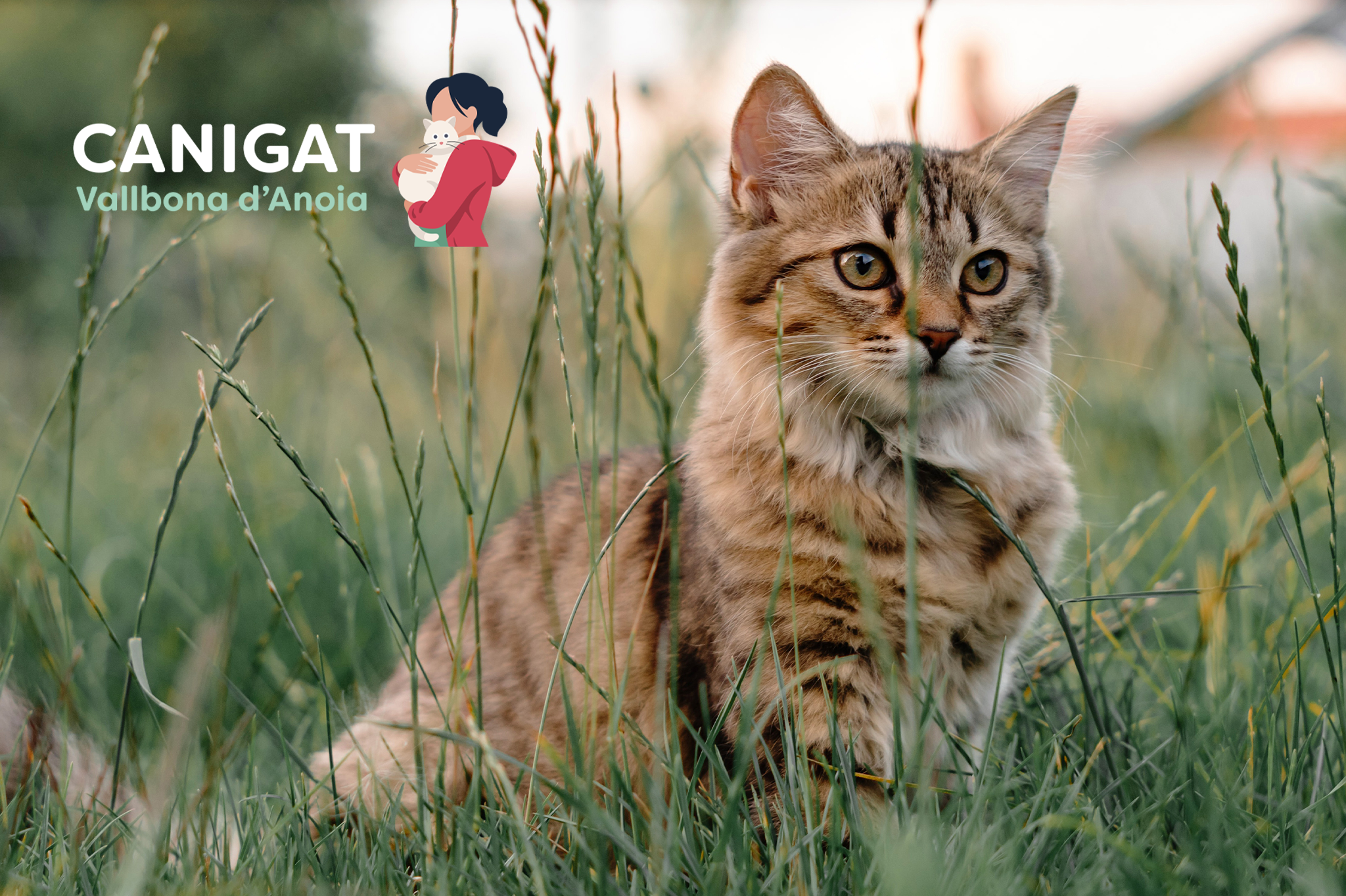 Canigat Vallbona d'Anoia