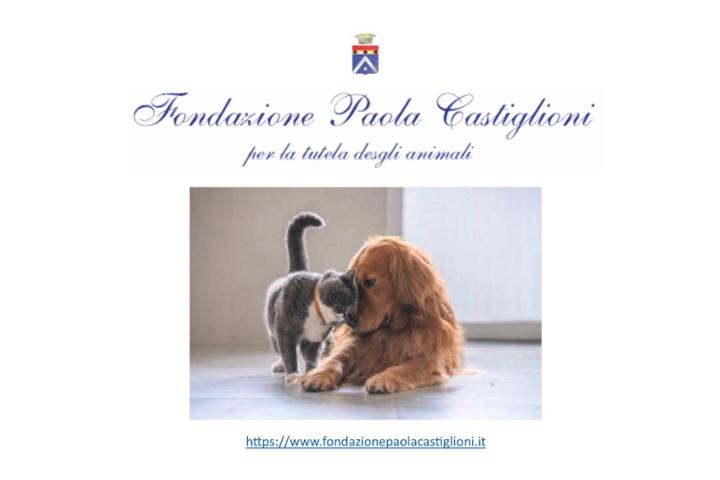 Fondazione Paola Castiglioni