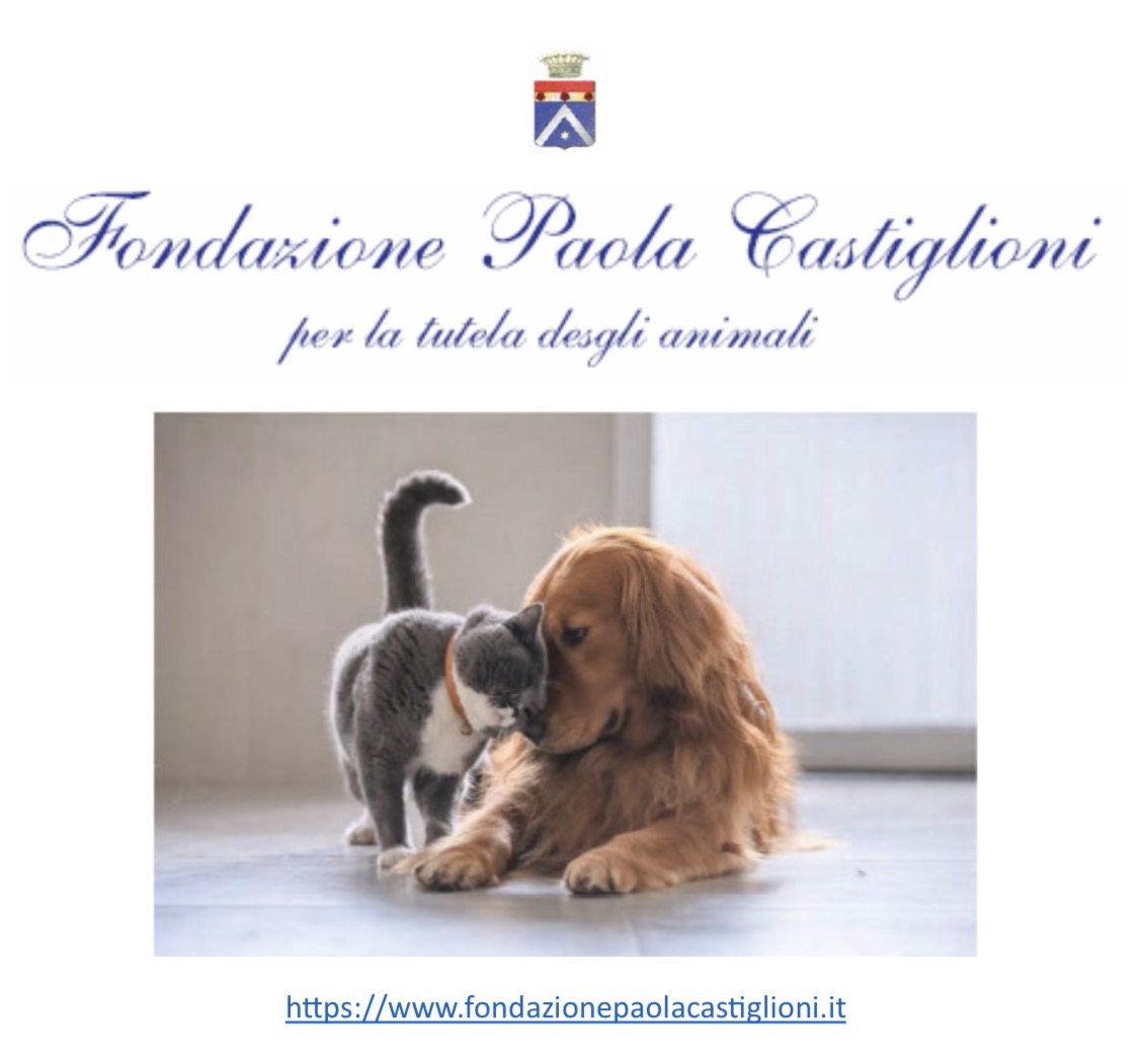 Fondazione Paola Castiglioni