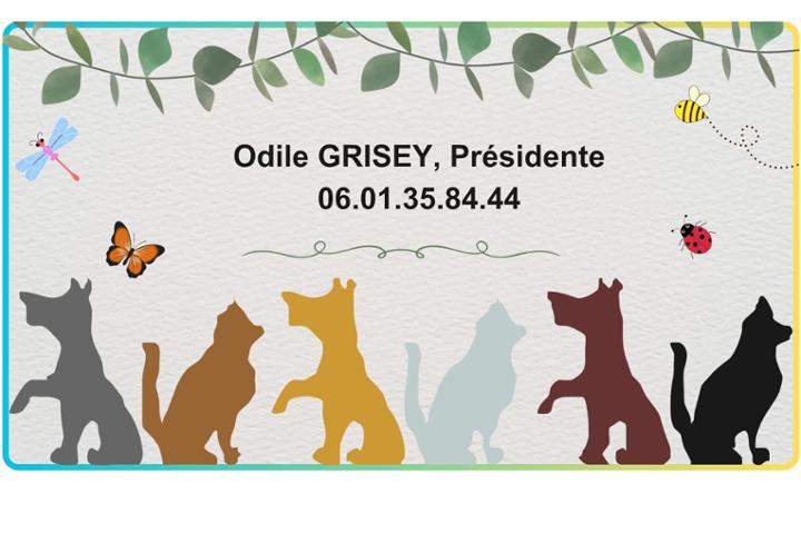 Association d'accueil des Animaux