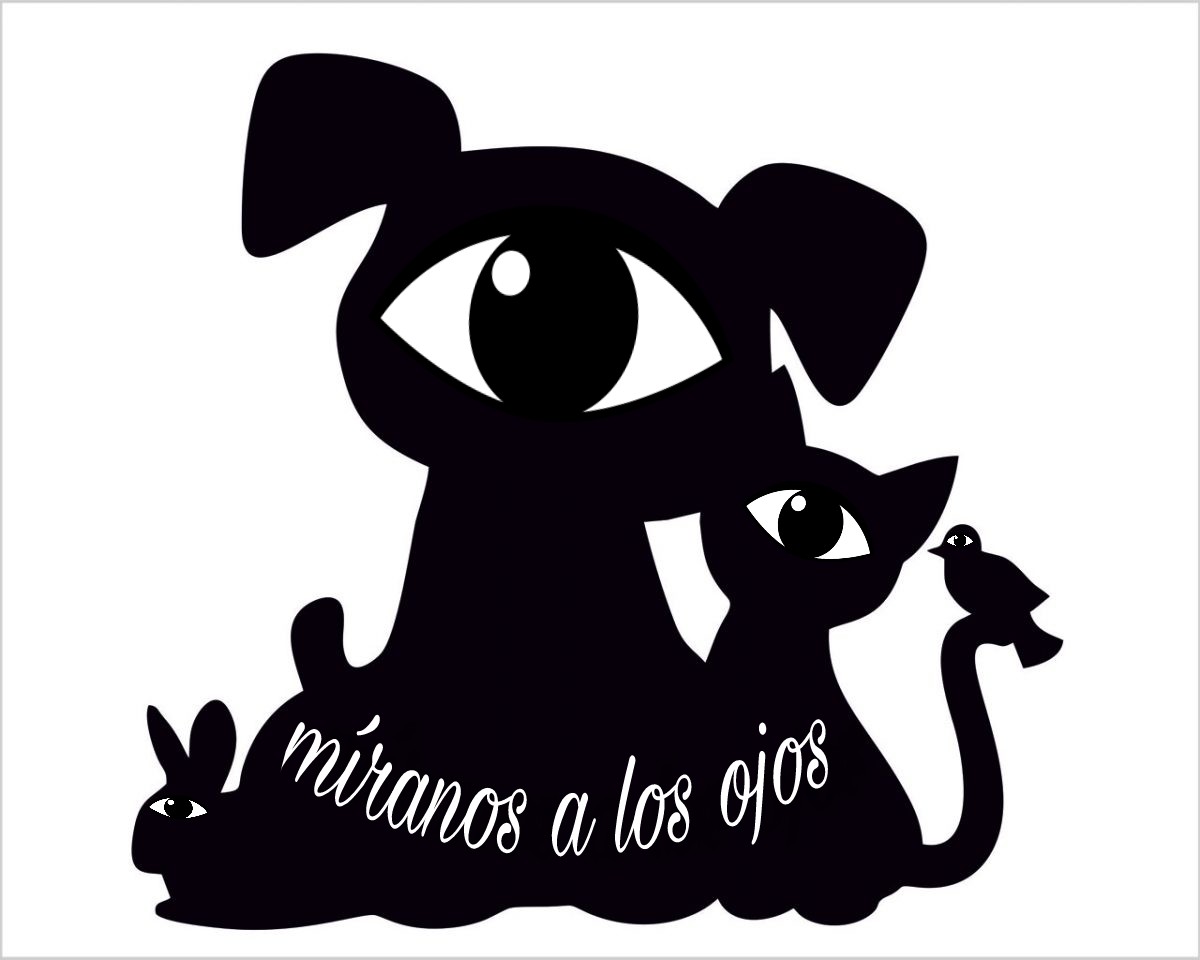 Miranos a los OJOS