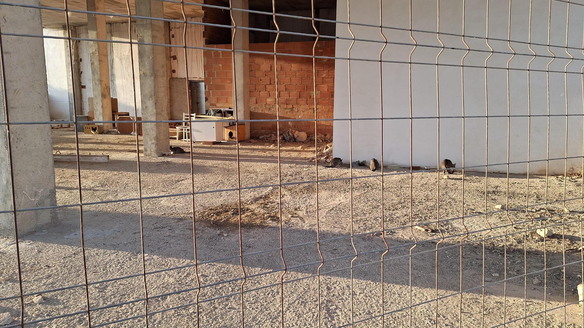 La ciudad de los gatos en Aigües