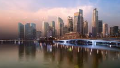 Help us to end animal abuse for 1 Euro!