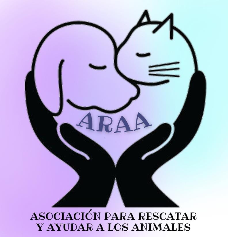 Ayuda a salvar vidas de perros y gatos sin familia