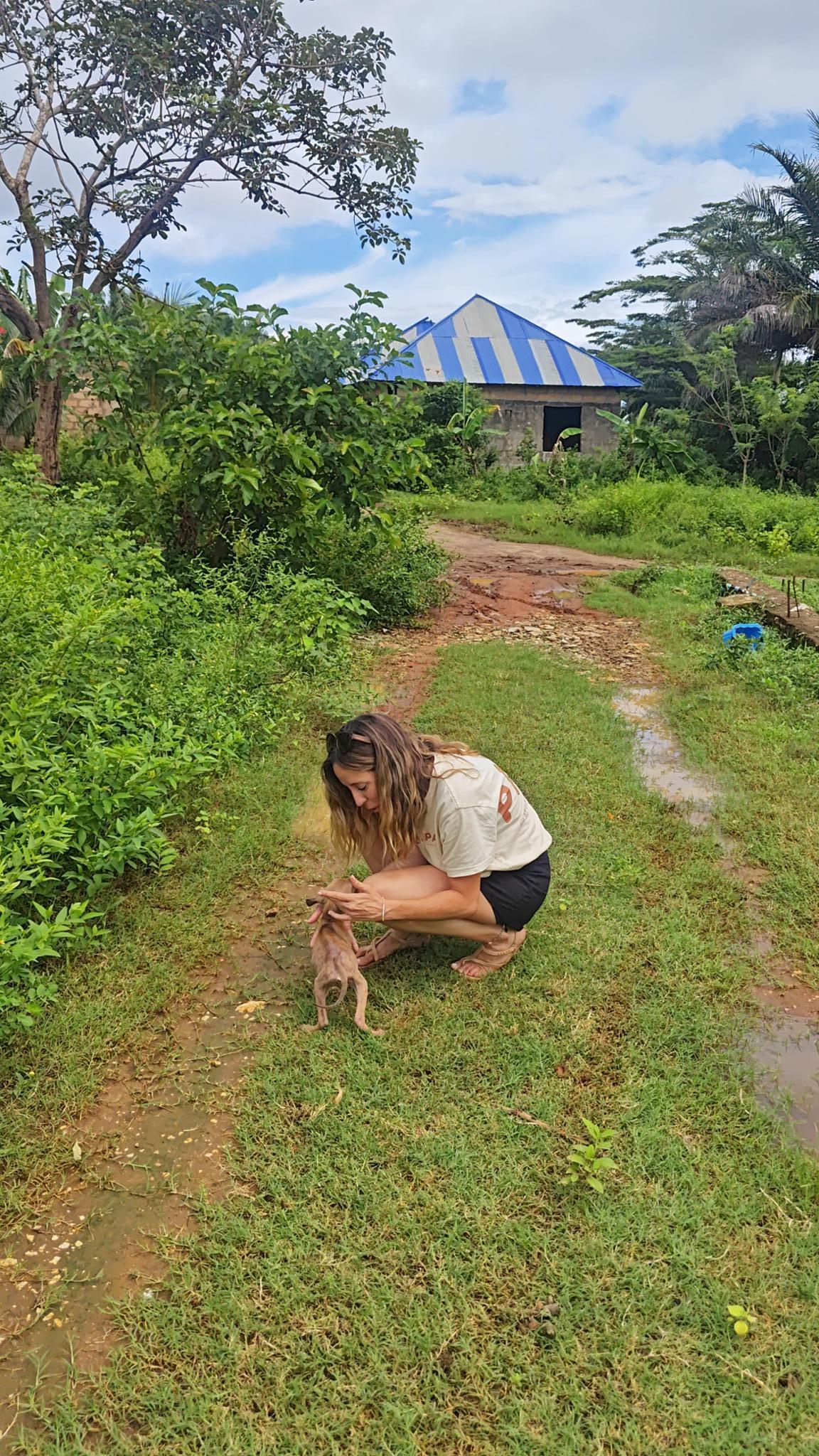 Mi buena pata Ayuda animal