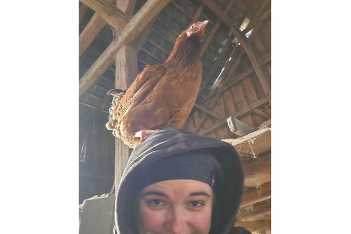 Leben in Fülle- Jenny's Gnadenhoftiere