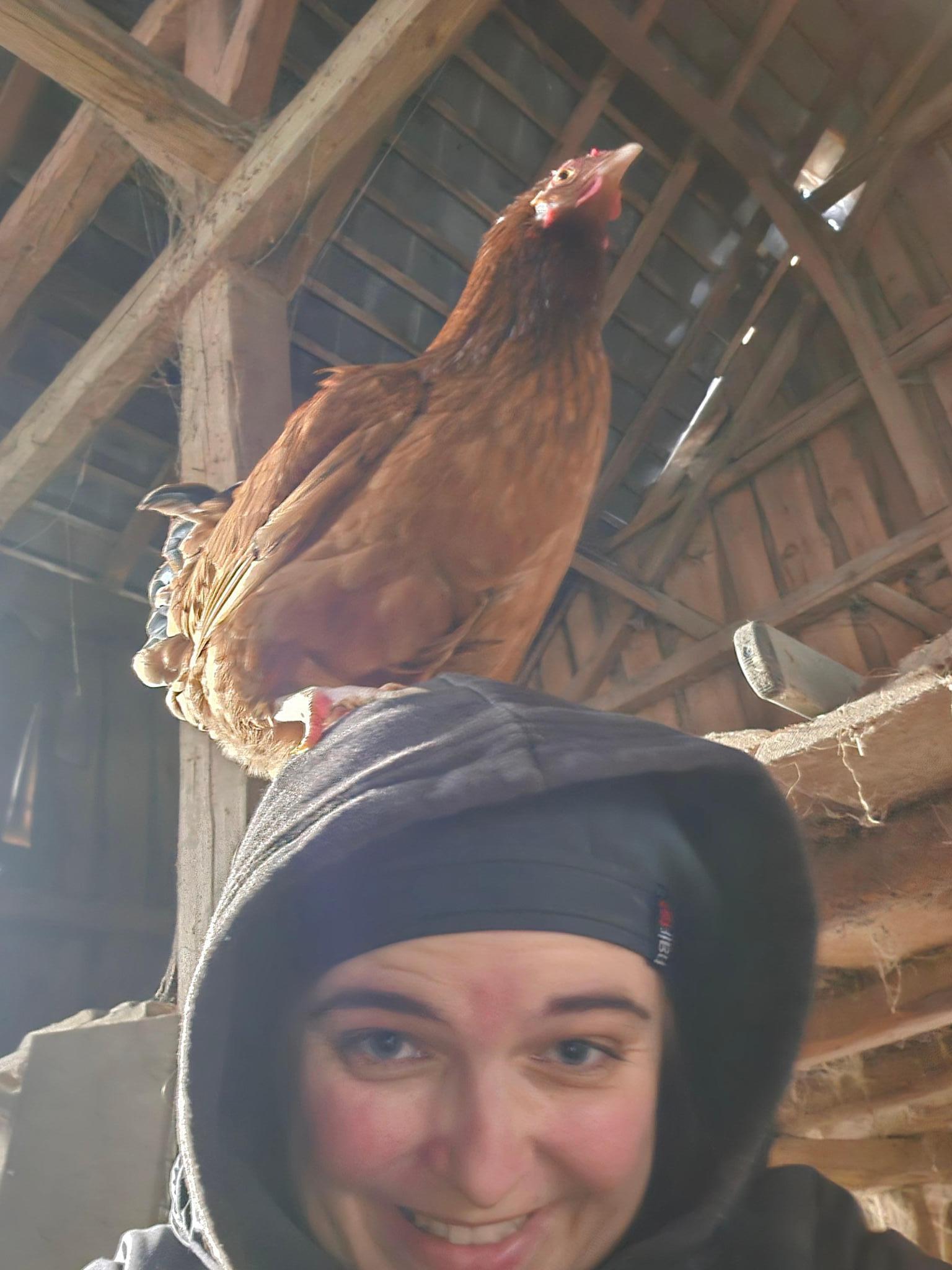 Leben in Fülle- Jenny's Gnadenhoftiere