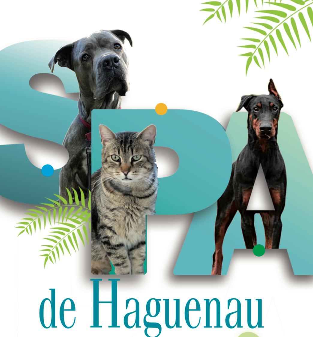 SPA de Haguenau