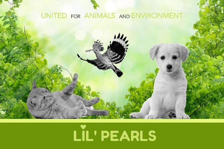 You love animals and want to help them? Donate to Little Pearls