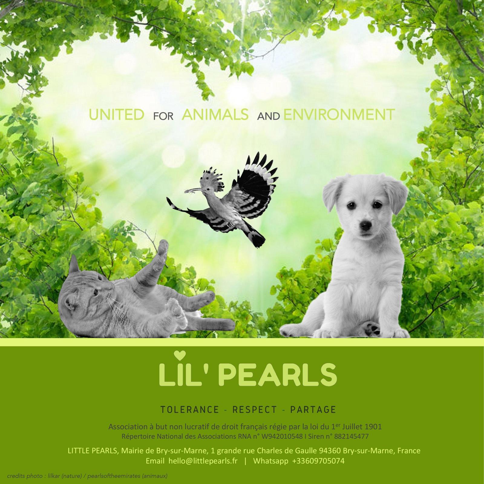 You love animals and want to help them? Donate to Little Pearls