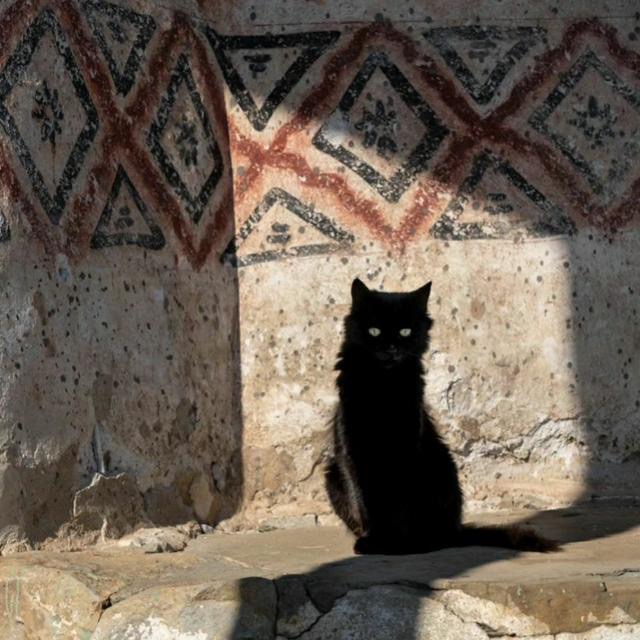 4 Gatos de Panticosa