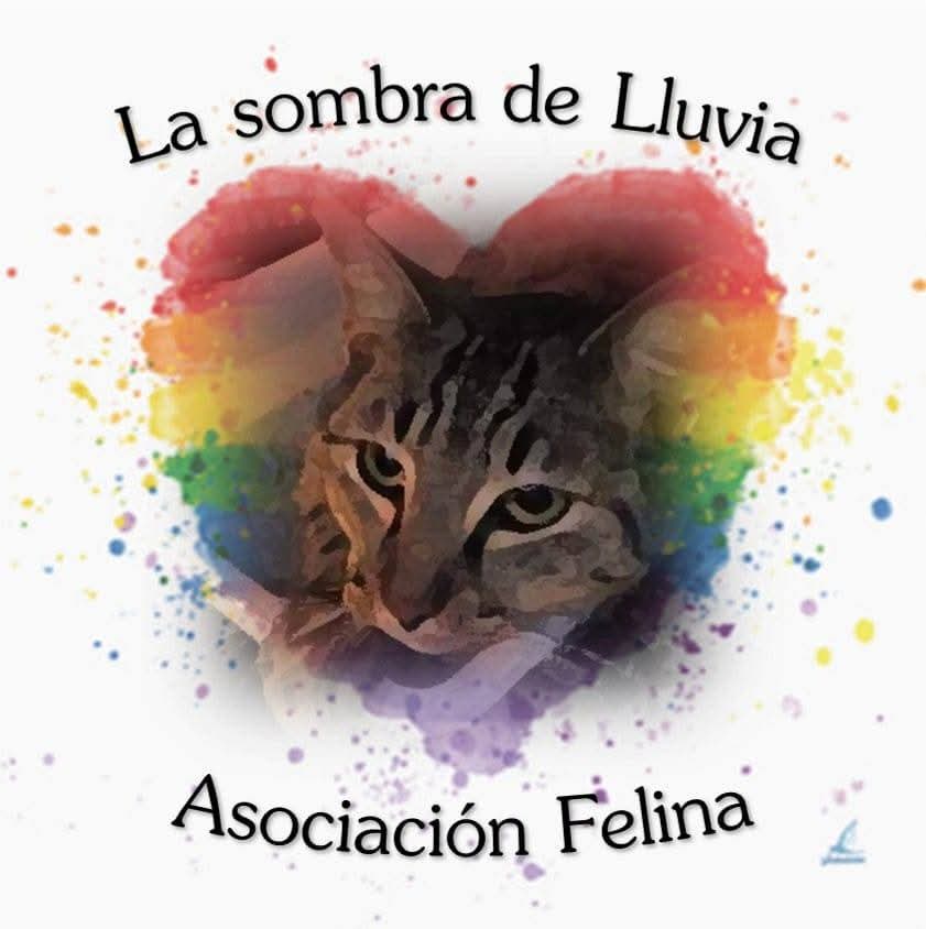 La sombra de lluvia