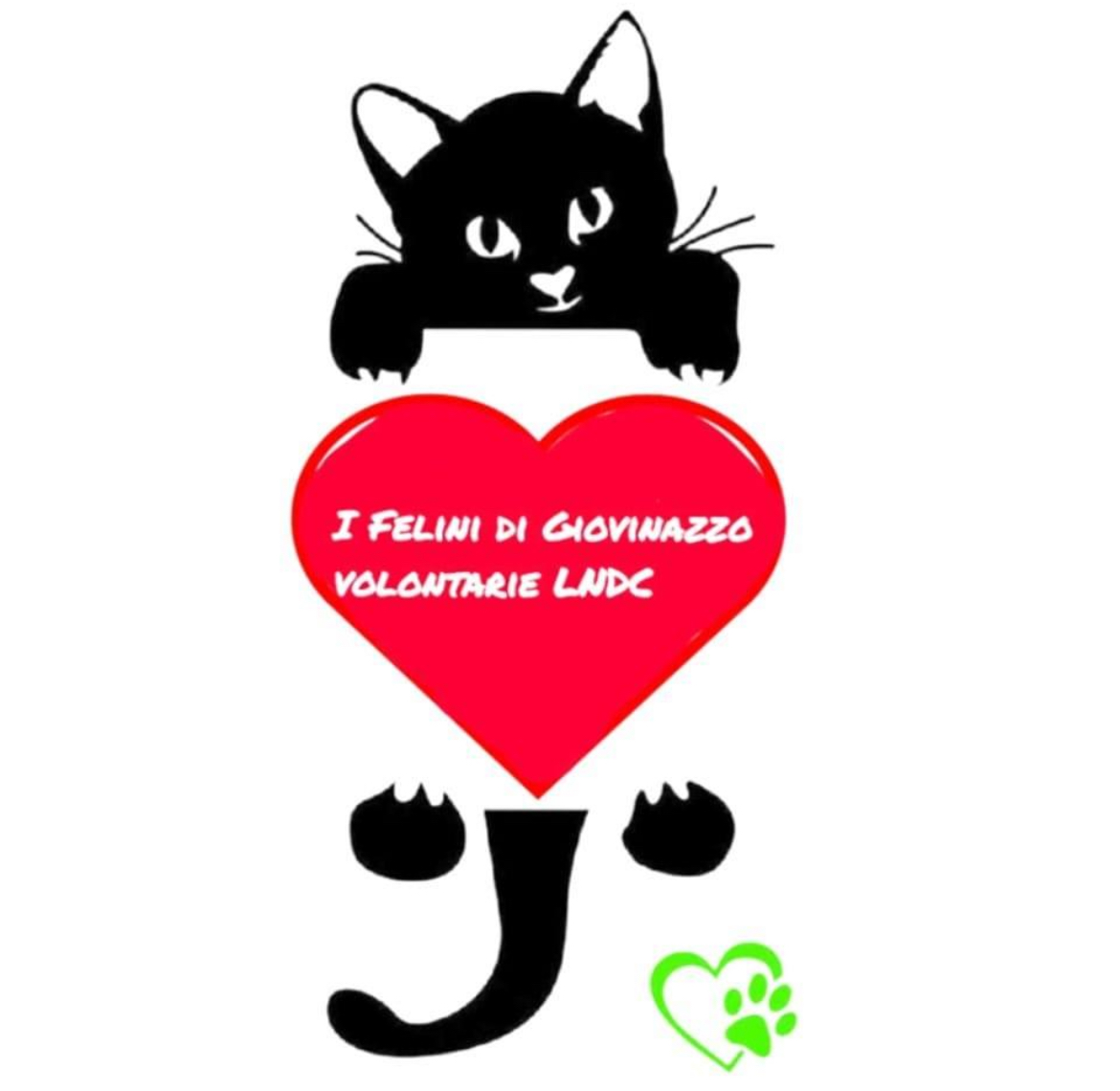 I Felini di Giovinazzo di Patrizia Rega