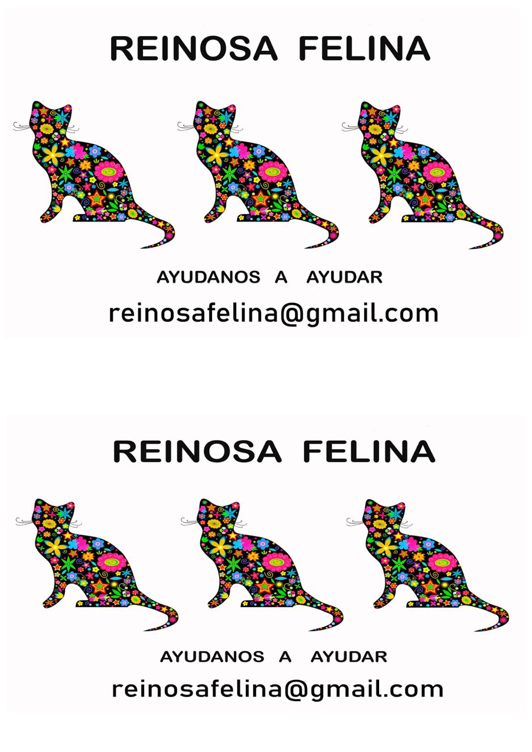 Reinosa Felina