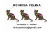Reinosa Felina