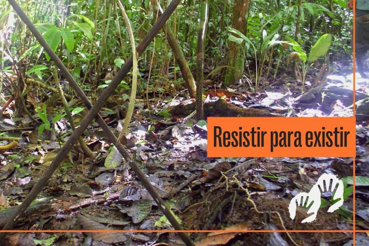 Survival, the global movement for Indigenous peoples rights