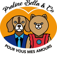 association praline bella and co pour vous mes amours