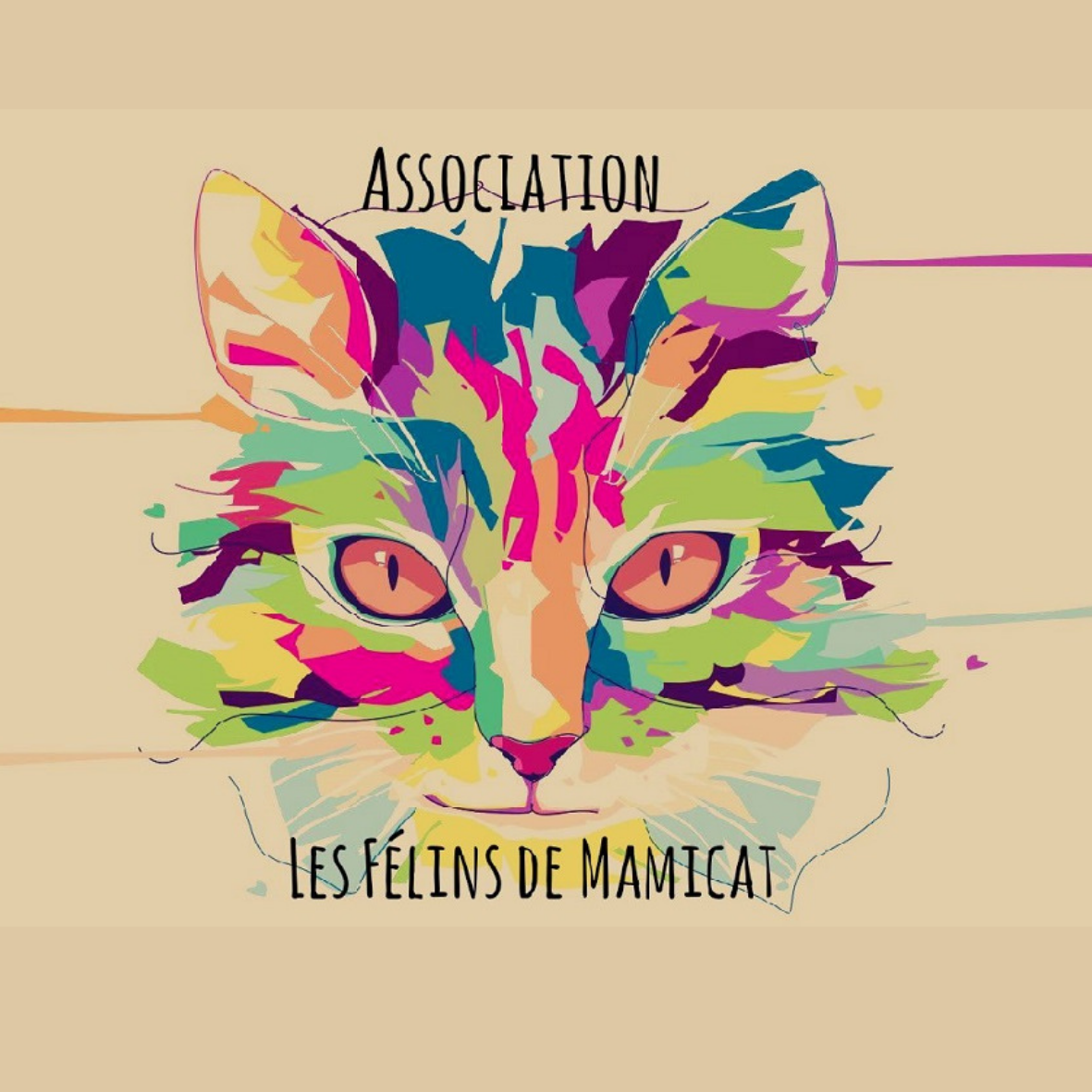 Association les félins de Mamicat