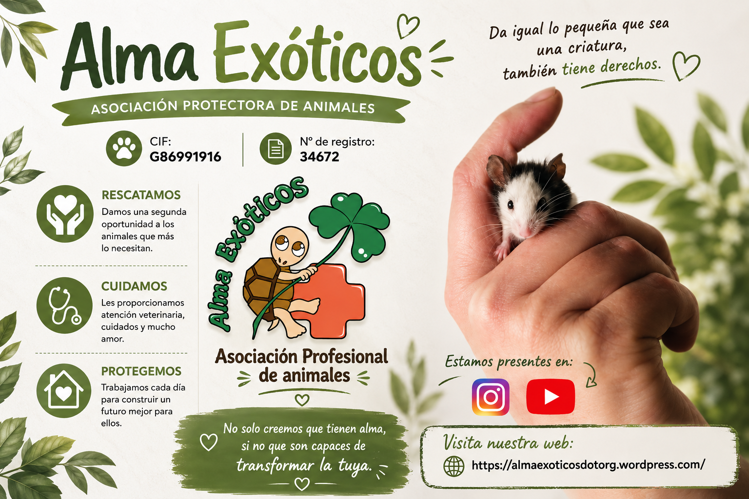 Alma Exóticos