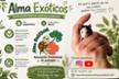 Alma Exóticos