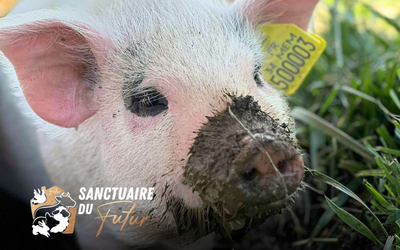 Sanctuaire du FUTUR