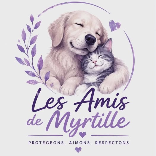 Les Amis de Myrtille
