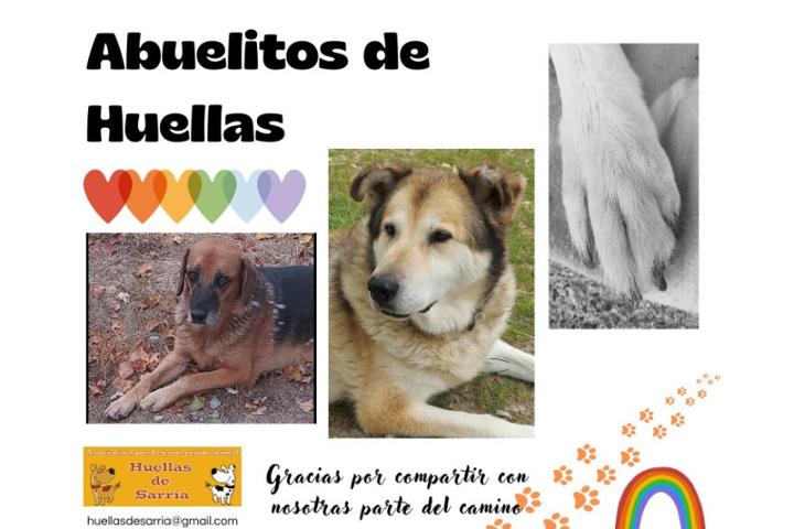 Picture for Abuelos de Huellas de Sarria