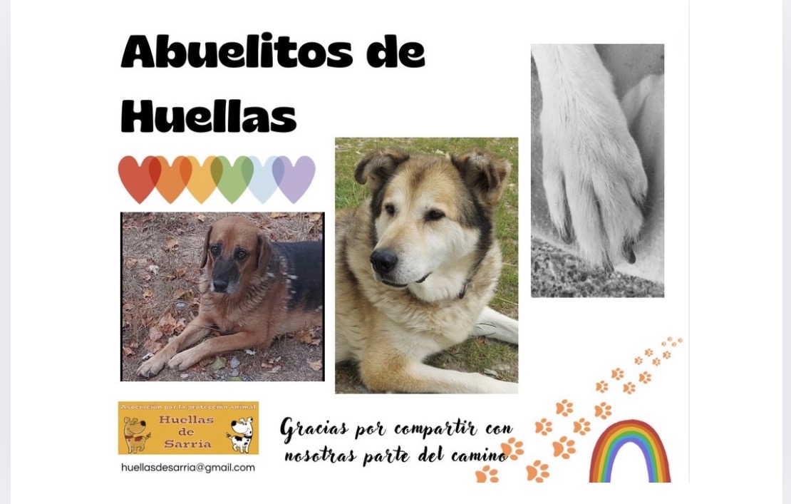 Abuelos de Huellas de Sarria