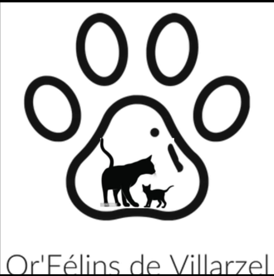 Association les or'félins de villarzel cabardes