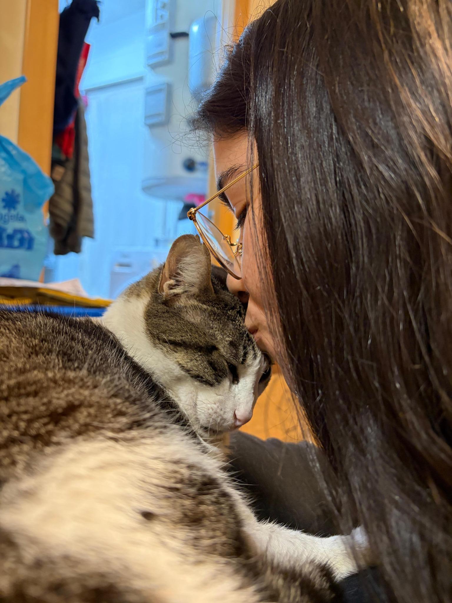 Asociación Refugats