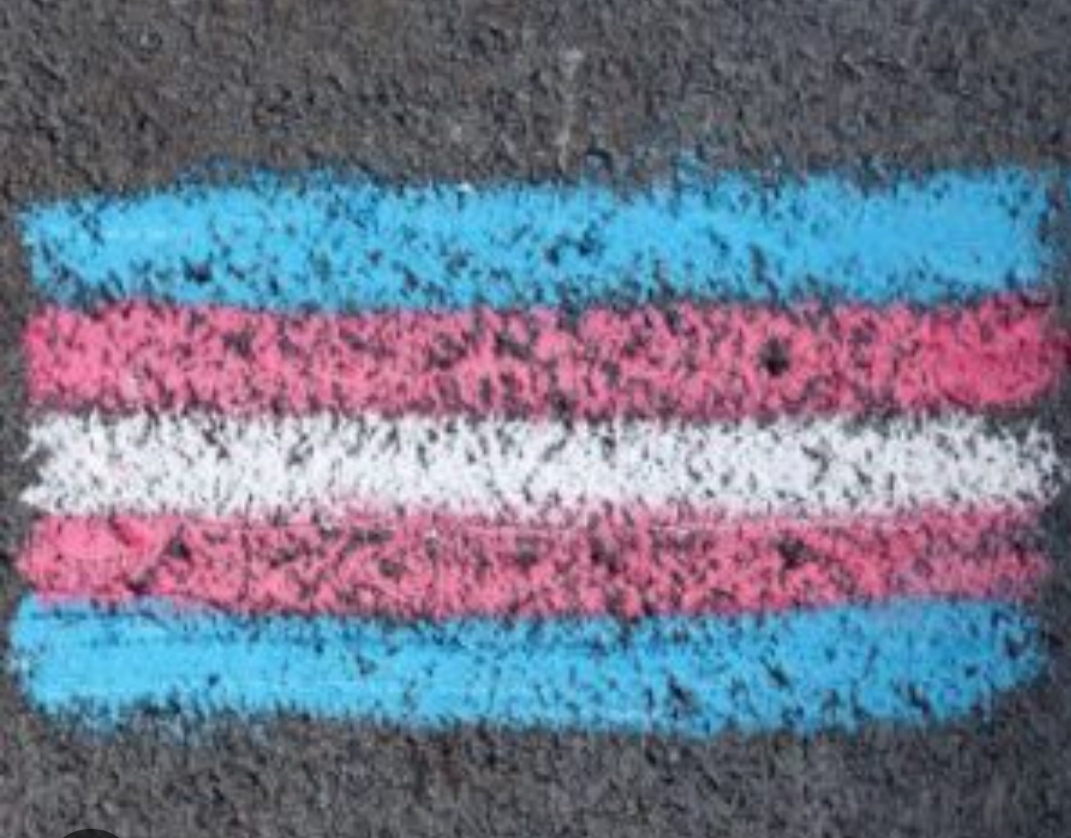 TRANSformando el Género