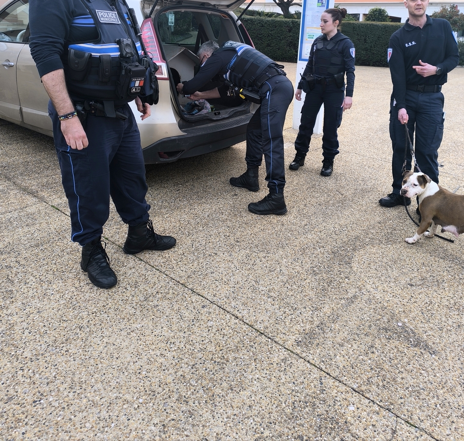 Association Natachat