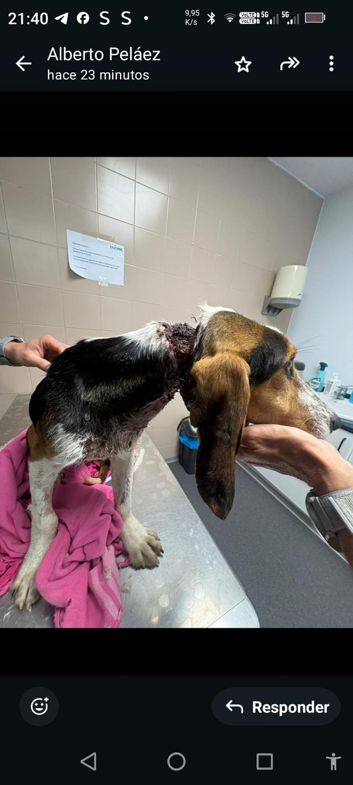 Refugio Animal La Manada Cántabra