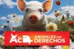 Animales Con Derechos