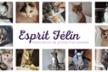 Esprit Félin