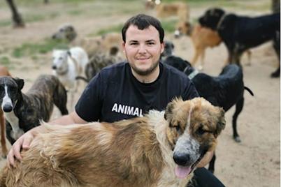 A new life and family for all animals A new life and family for all animals