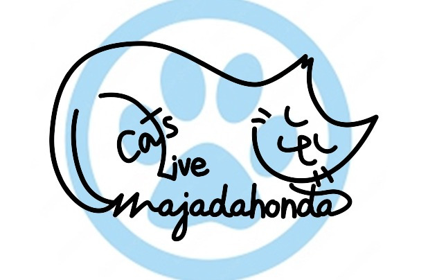 ASOCIACIÓN CATS LIVE