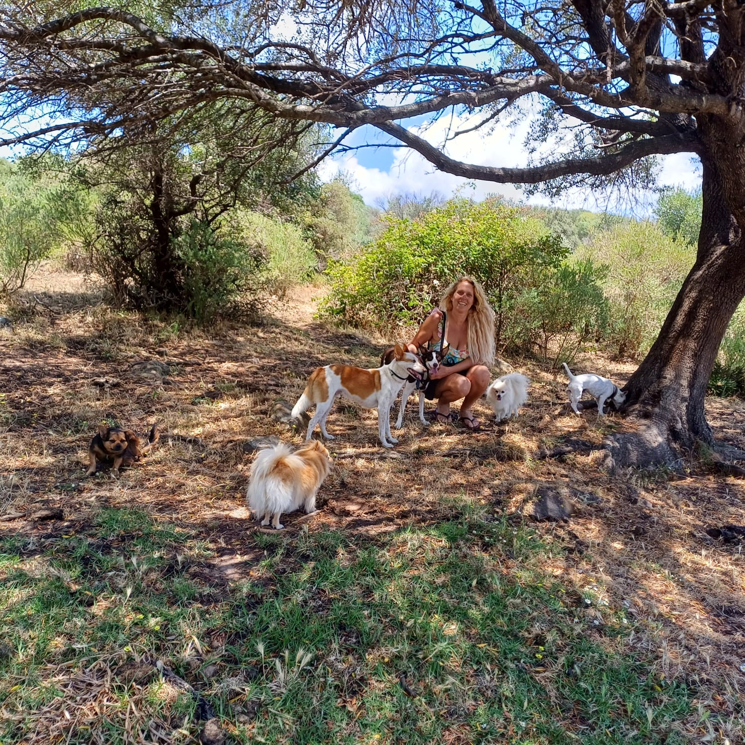 Refugio de Animales Tarifa