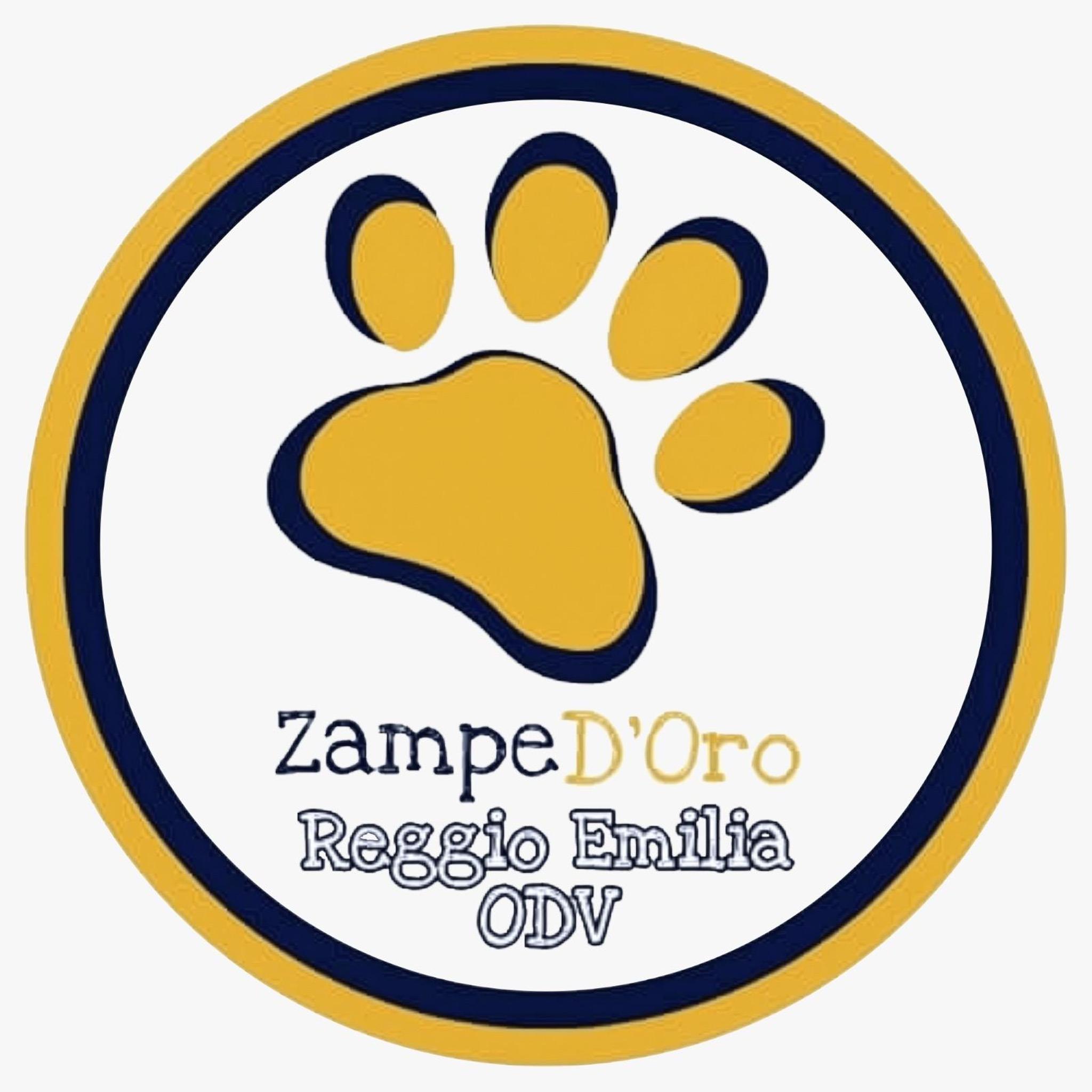 CASA FAMIGLIA ZAMPE D’ORO REGGIO EMILIA