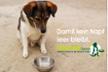 Fill bowls, give hope