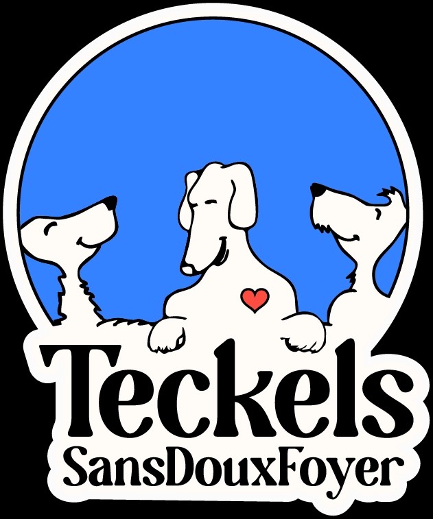 Association Teckels Sans Doux Foyer