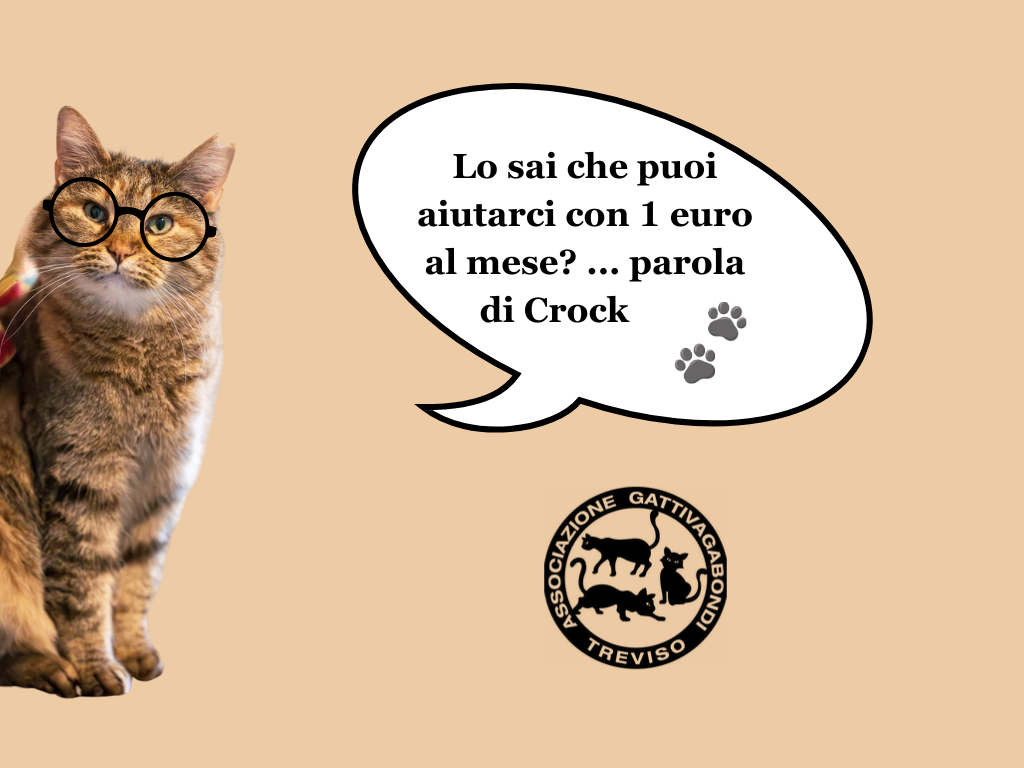 Associazione GattiVagabondi Onlus