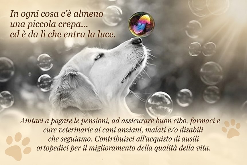 Associazione Adozioni del Cuore