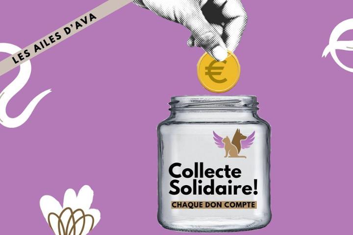 Les Ailes d'Ava Association